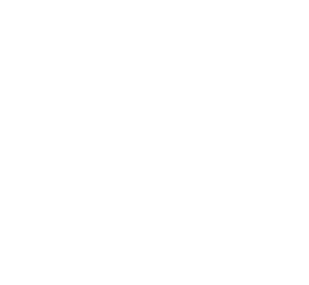 Logo Cype Light