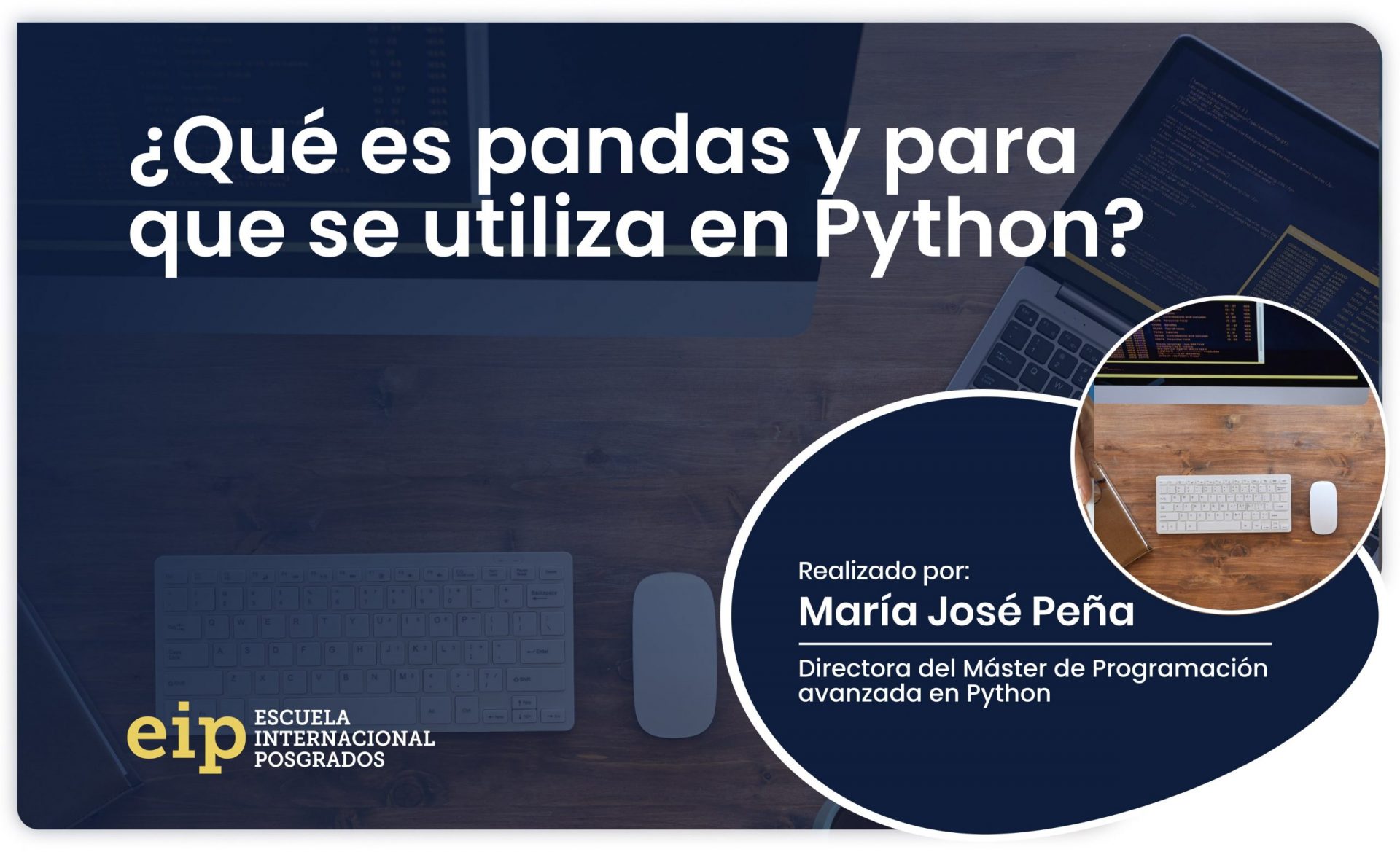 libreria pandas en python scaled