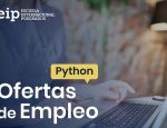 Programador Junior Python En Madrid