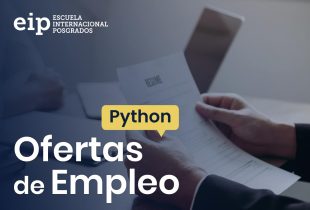 Programador Python En Madrid