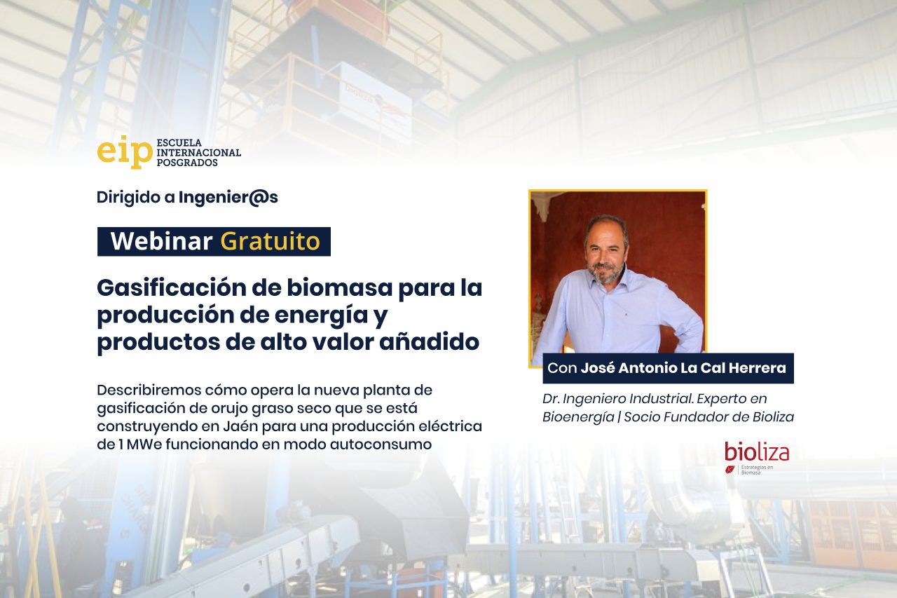 Webinar Gasificacion De Biomasa