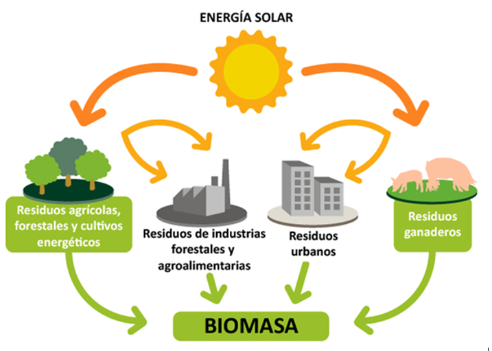 Introducción a la biomasa