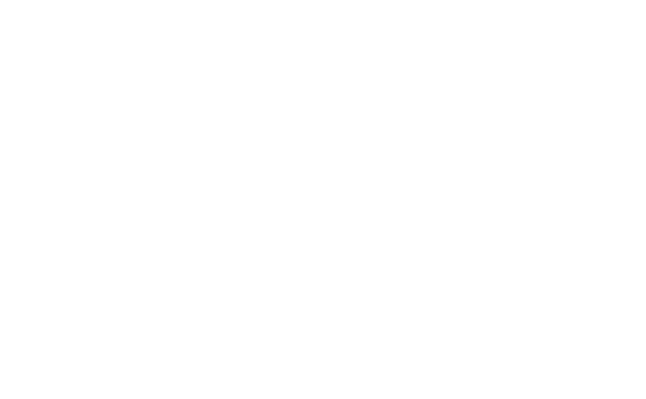 Pmp Logo Footer