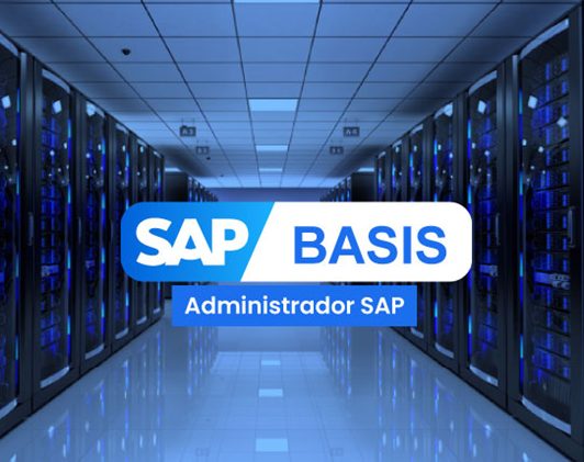 SAP BASIS