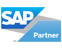 Sap Partner R Bloque Fix