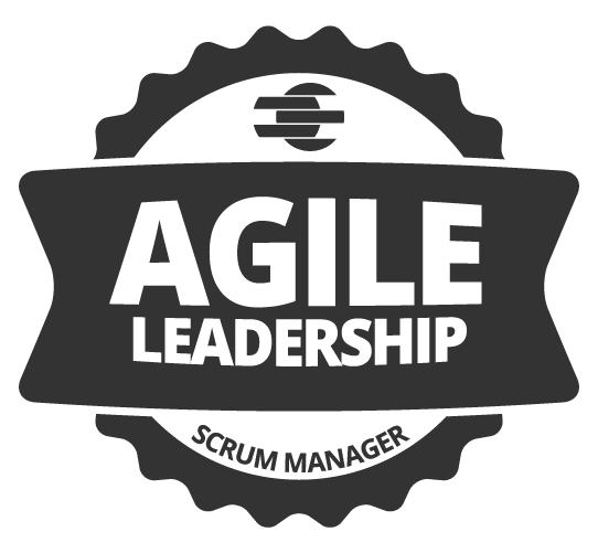 agile leadership