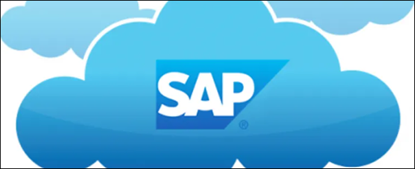 RISE with SAP 5 image 2