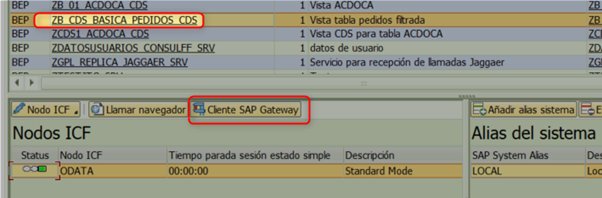 Publicar vistas CDS en SAP 17 image 20