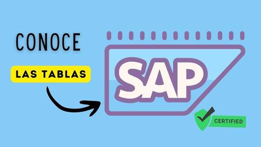 Tablas en SAP: Te mostramos los tipos 3 image