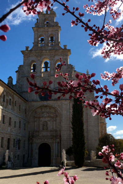 santa maria de la vid y silos juntos en el camino de la calma